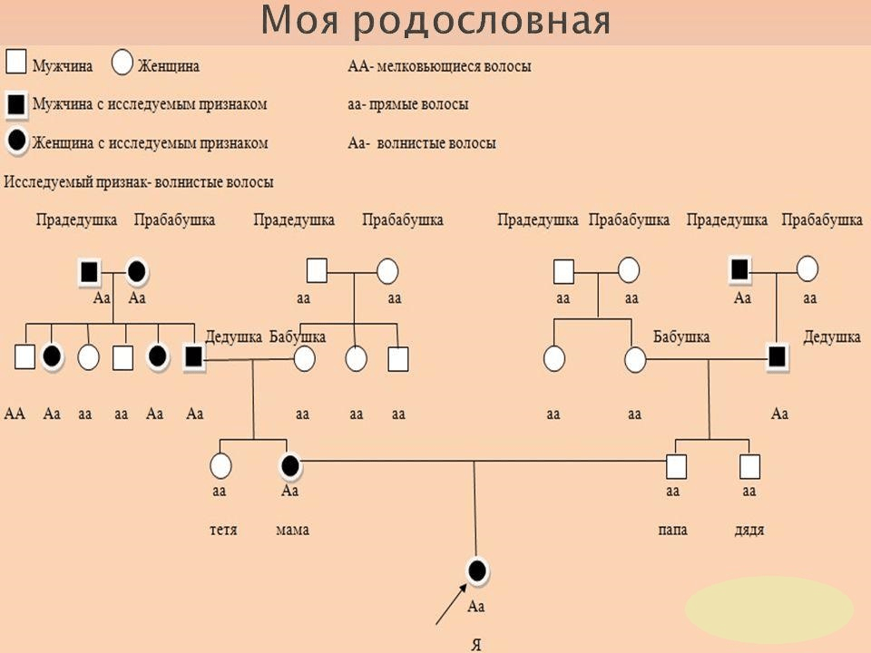 Решение рисунок 1