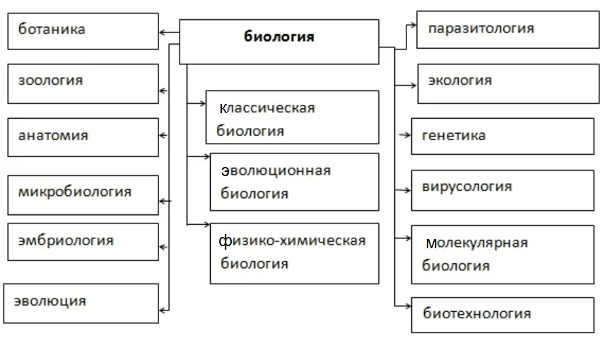 Схема наук биологии