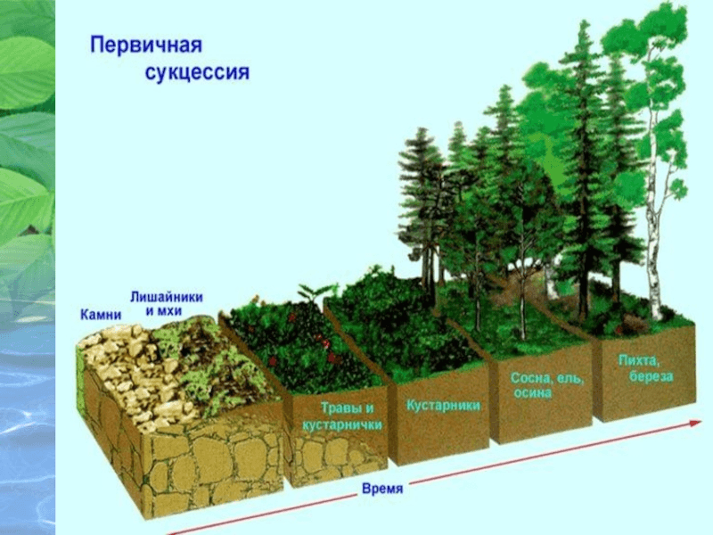 Решение рисунок 1