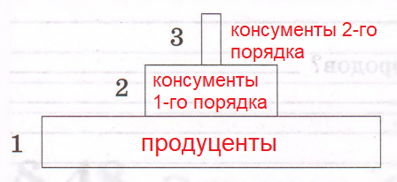 Решение рисунок 1