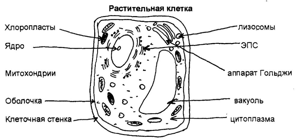 Решение рисунок 1