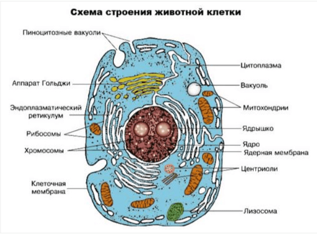 Решение рисунок 2