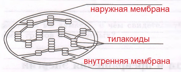 Решение рисунок 1