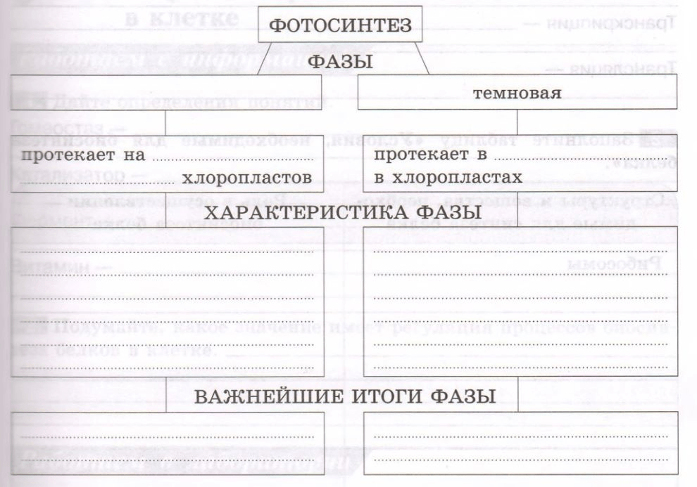 Задание рисунок 1