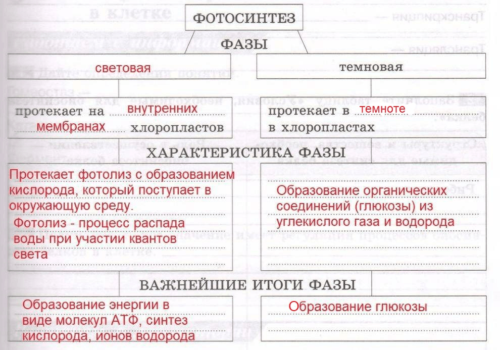 Решение рисунок 1