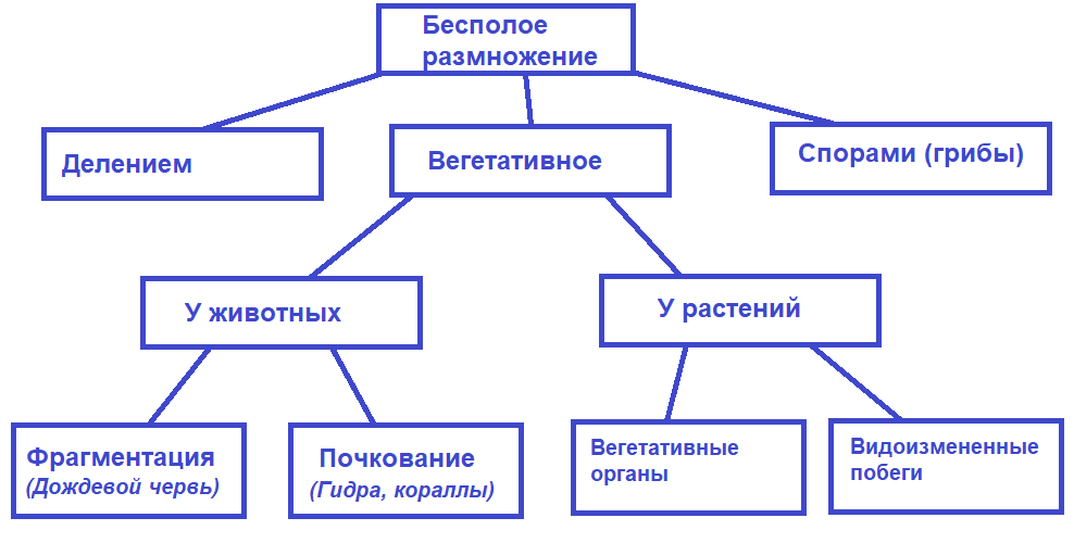 Биология
