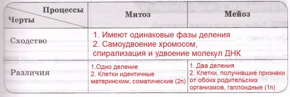 Решение рисунок 1