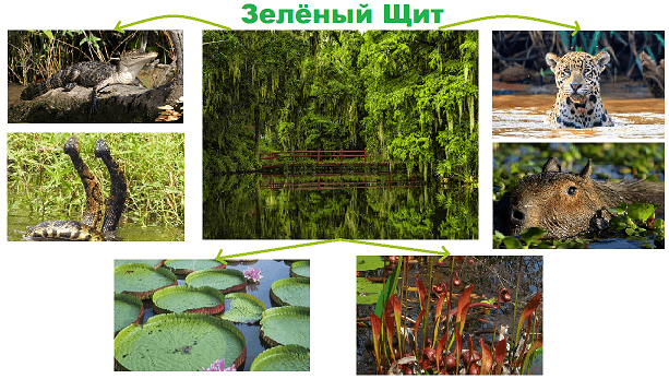 Решение рисунок 1
