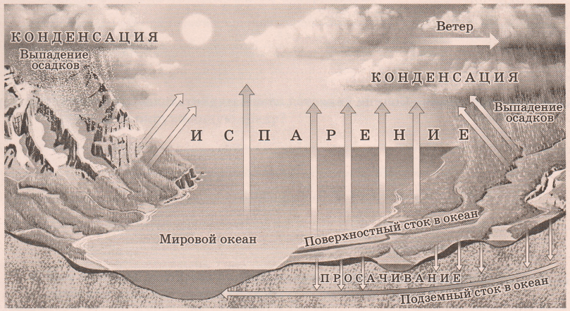Задание рисунок 1