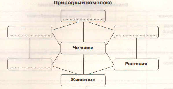 Задание рисунок 1