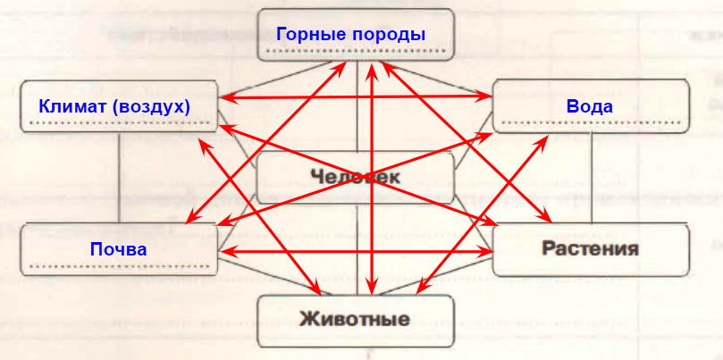 Решение рисунок 1