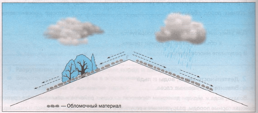 Задание рисунок 1
