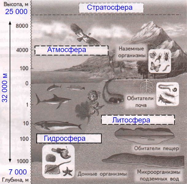Решение рисунок 1