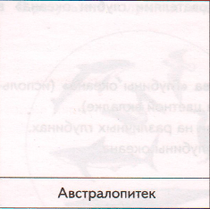 Задание рисунок 1