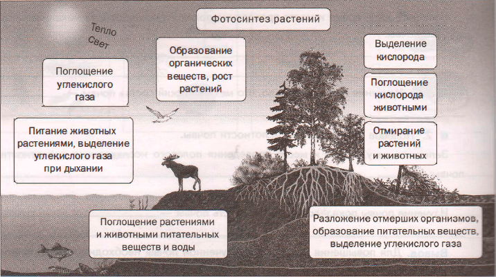 Задание рисунок 1