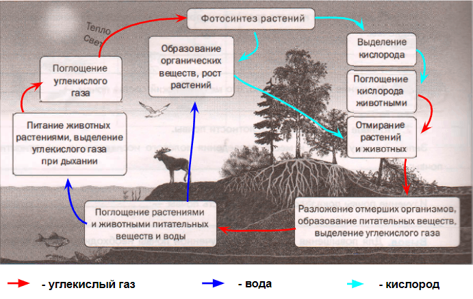 Решение рисунок 1