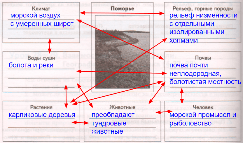 Решение рисунок 1