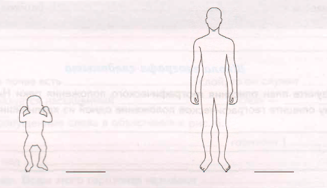 Задание рисунок 1