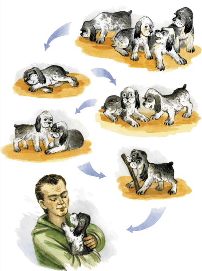 Задание рисунок 1