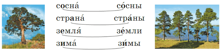 Задание рисунок 1
