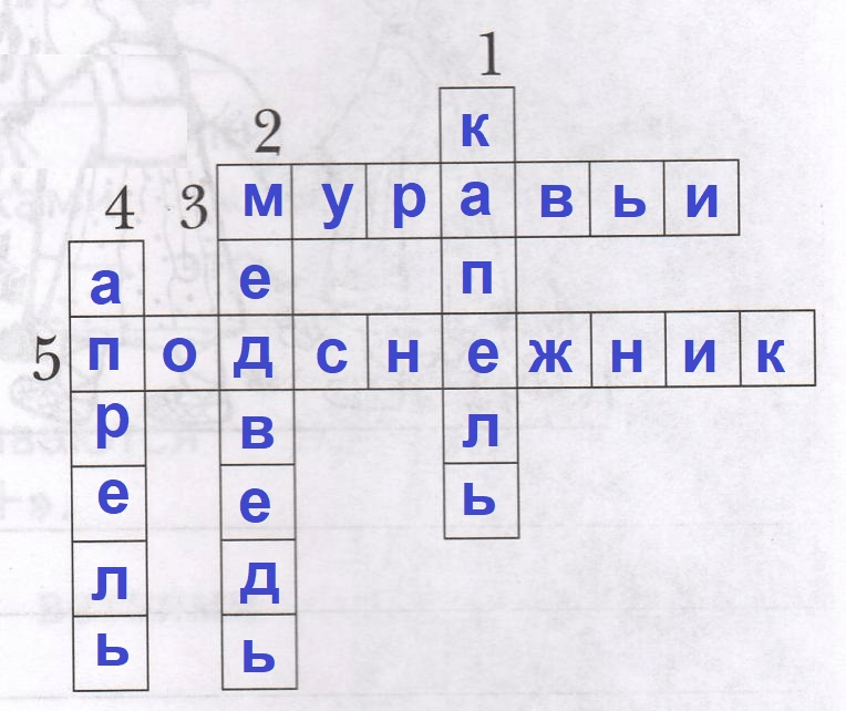 Решение рисунок 1