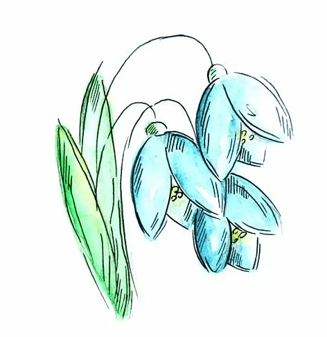 Решение рисунок 1