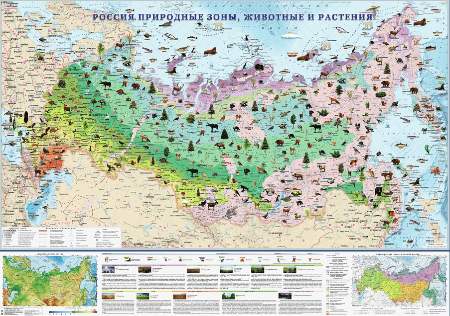 Решение рисунок 1