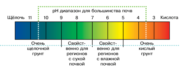 Задание рисунок 1