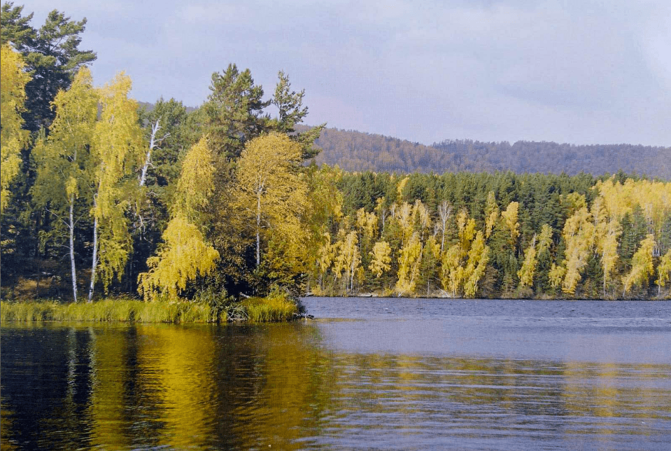 Решение рисунок 1