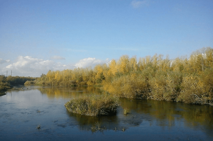 Решение рисунок 2