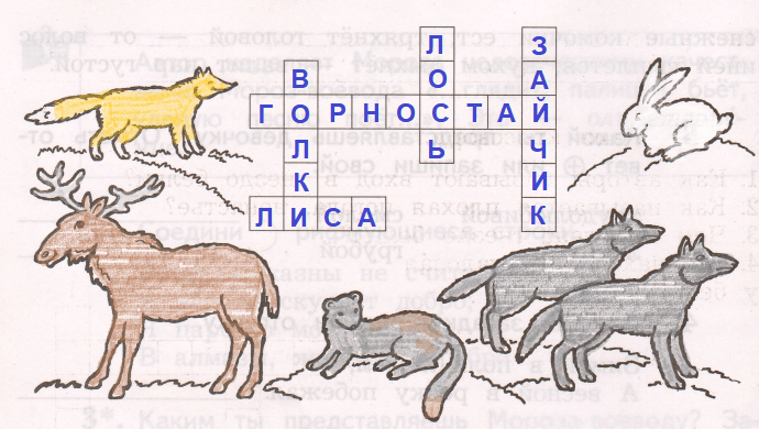 Решение рисунок 1