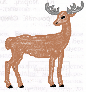 Решение рисунок 1