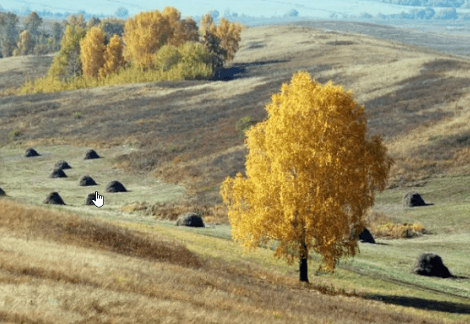 Решение рисунок 1