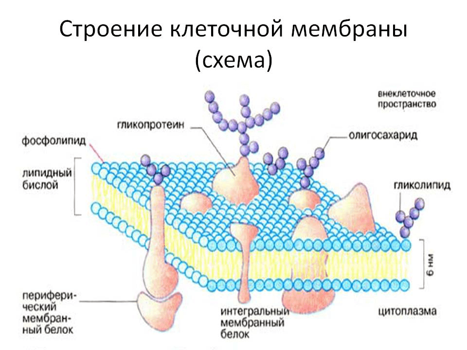 Решение рисунок 3
