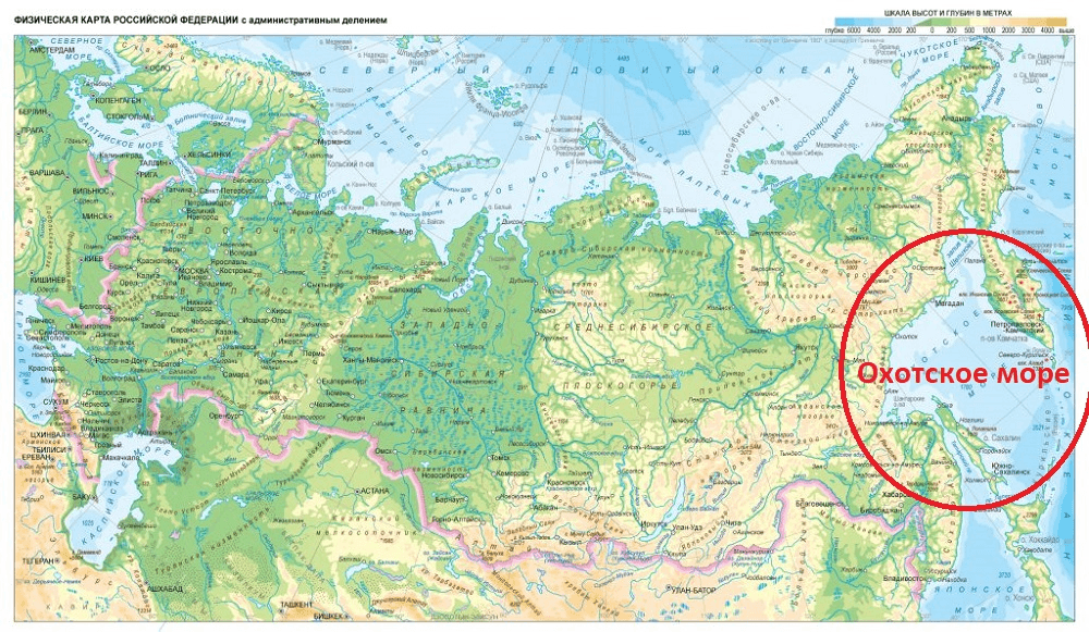 Решение рисунок 1