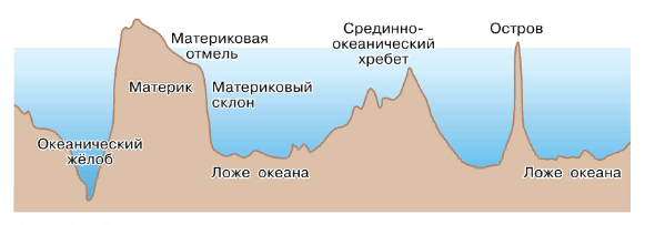 Шельф материковый склон ложе океана. Океанический желоб. Материковый склон. Океанический хребет. Срединно-океанический хребет.