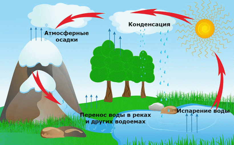Решение рисунок 1