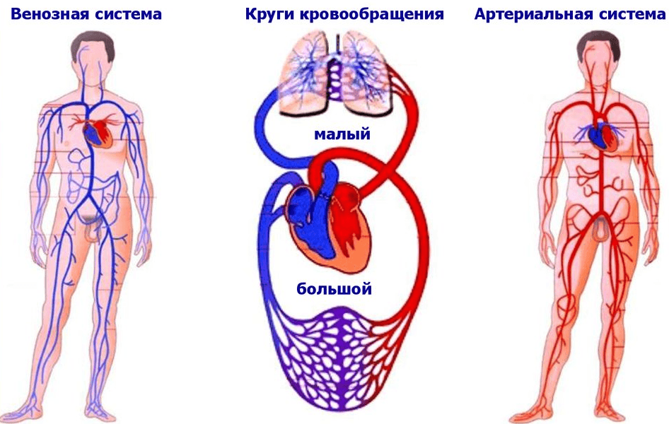 Решение рисунок 4