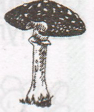 Задание рисунок 1