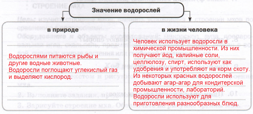Решение рисунок 1