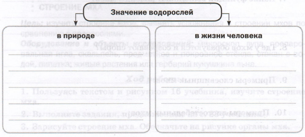 Задание рисунок 1