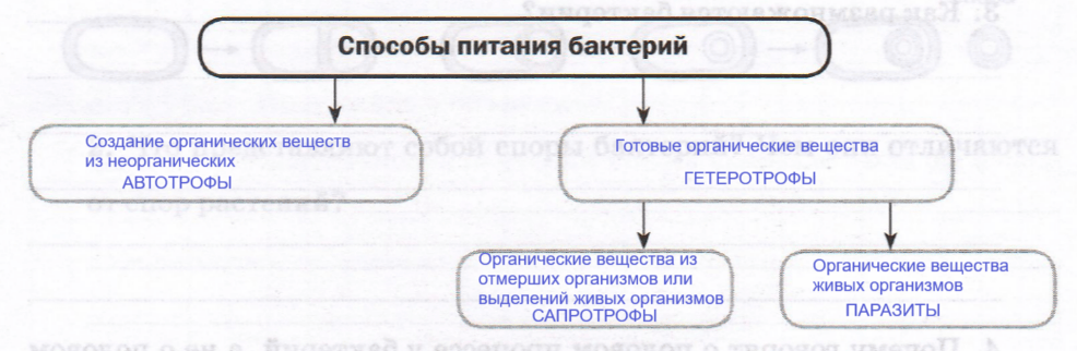 Решение рисунок 1