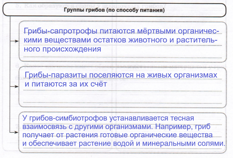 Решение рисунок 1