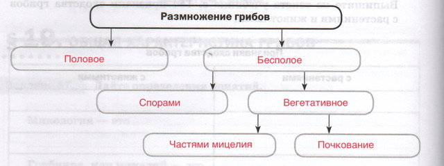 Решение рисунок 1