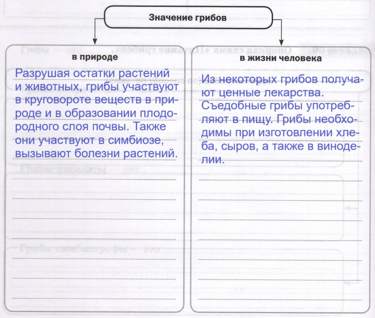 Решение рисунок 1