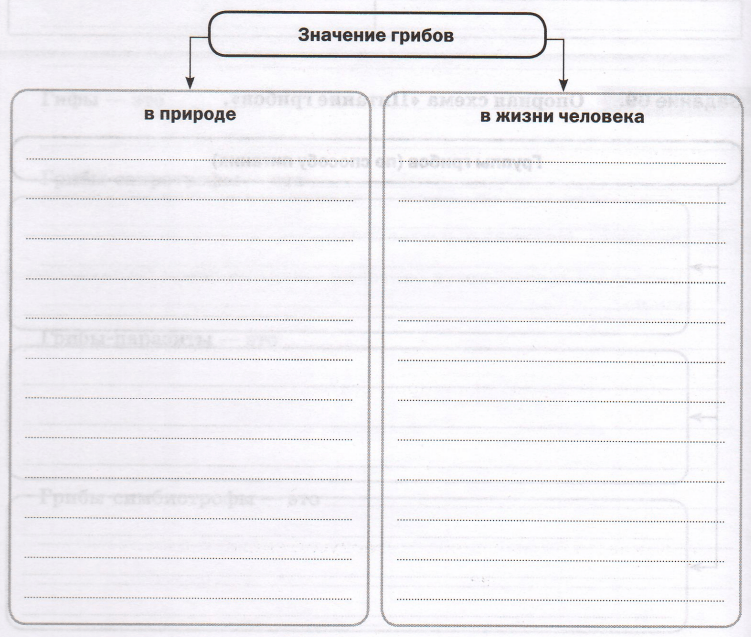 Задание рисунок 1