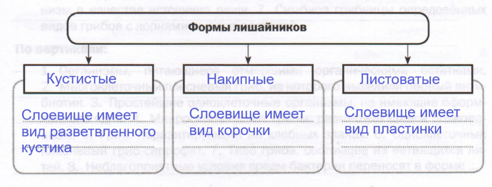 Решение рисунок 1