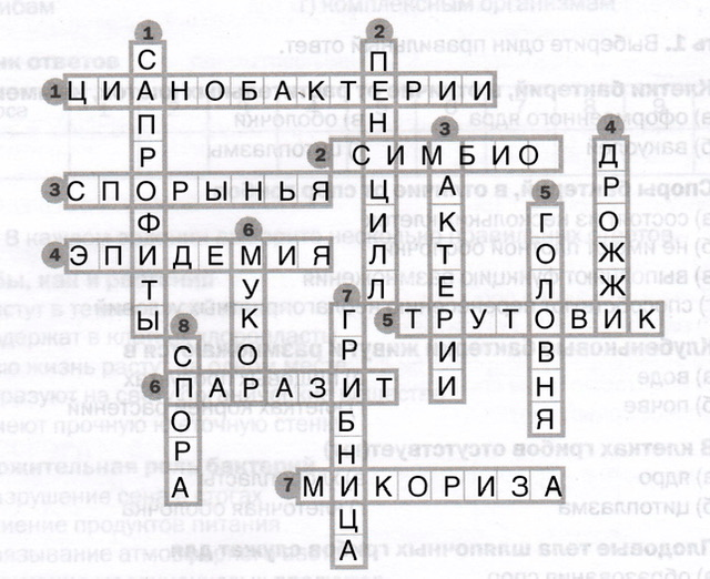 Решение рисунок 1