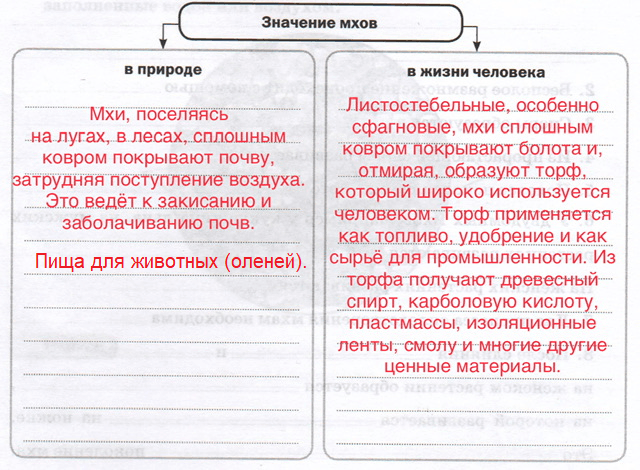 Решение рисунок 1