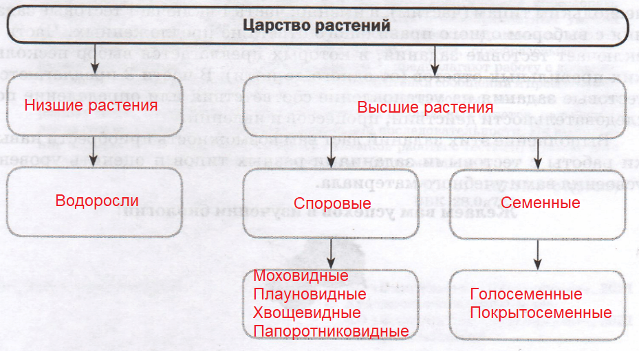 Решение рисунок 1